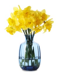 Photo of Beautiful daffodils in vase on white background