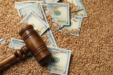 Dollar banknotes and wooden gavel on wheat grains, closeup. Agricultural business