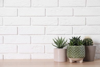 Photo of Beautiful Cactus, Aloe and Haworthia in pots on wooden table near white brick wall, space for text. Different house plants