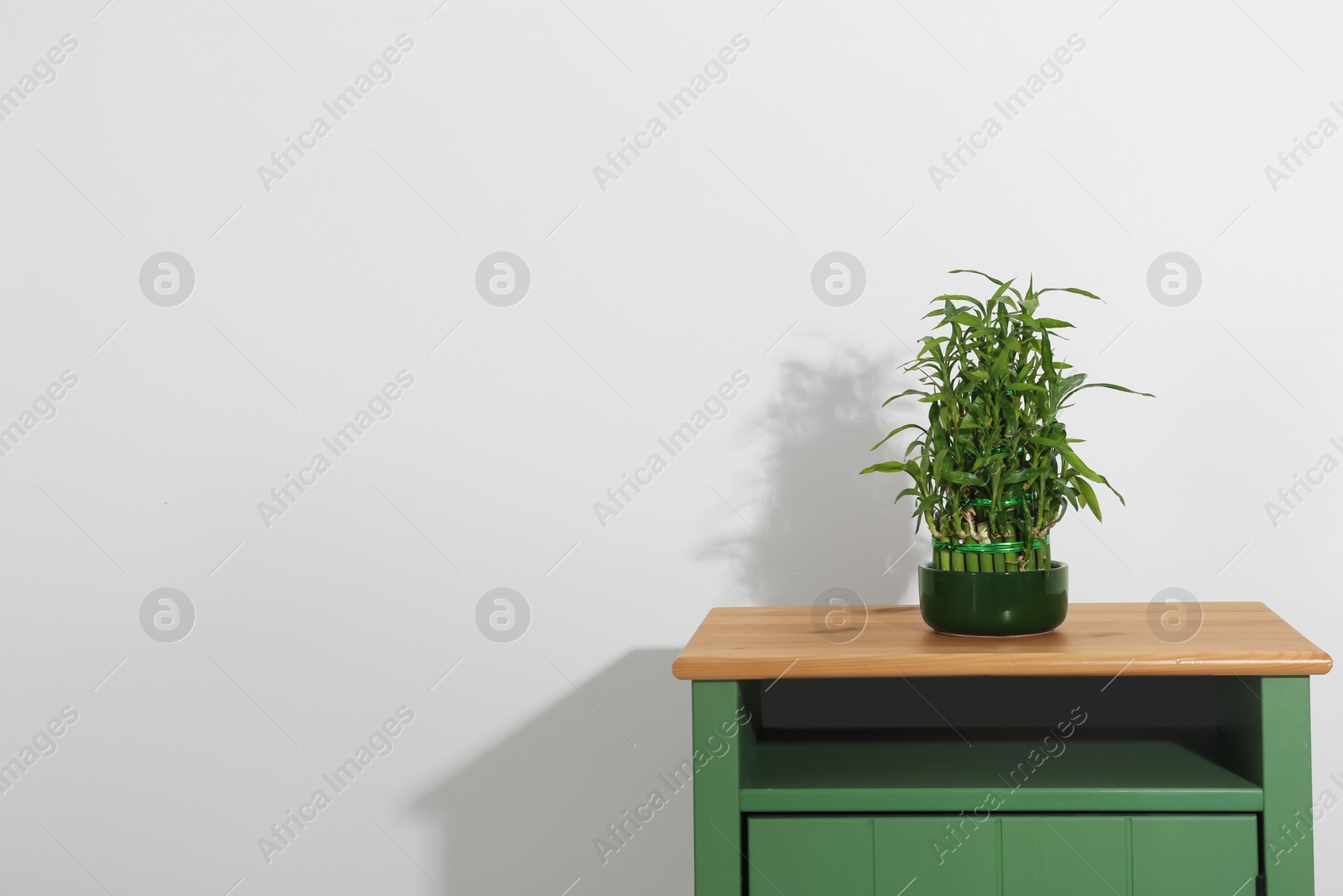 Photo of Pot with green bamboo on nightstand against light background. Space for text