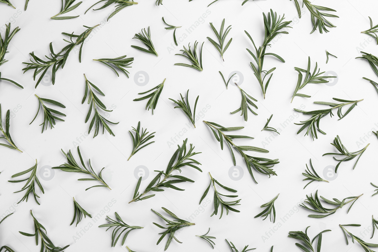 Photo of Composition with fresh rosemary on white background, top view