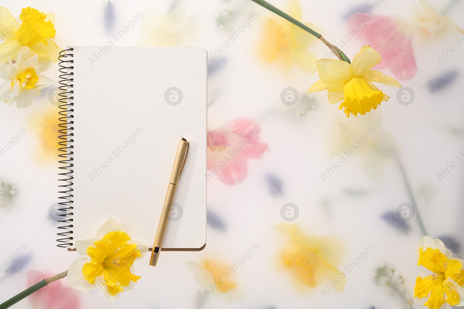 Photo of Guest list. Notebook, pen and daffodils on spring floral background, flat lay. Space for text