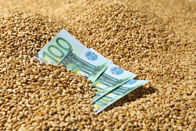 Photo of Wheat grains with euro banknotes. Global food crisis concept
