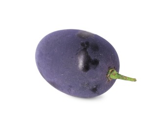 Photo of One ripe dark blue grape isolated on white