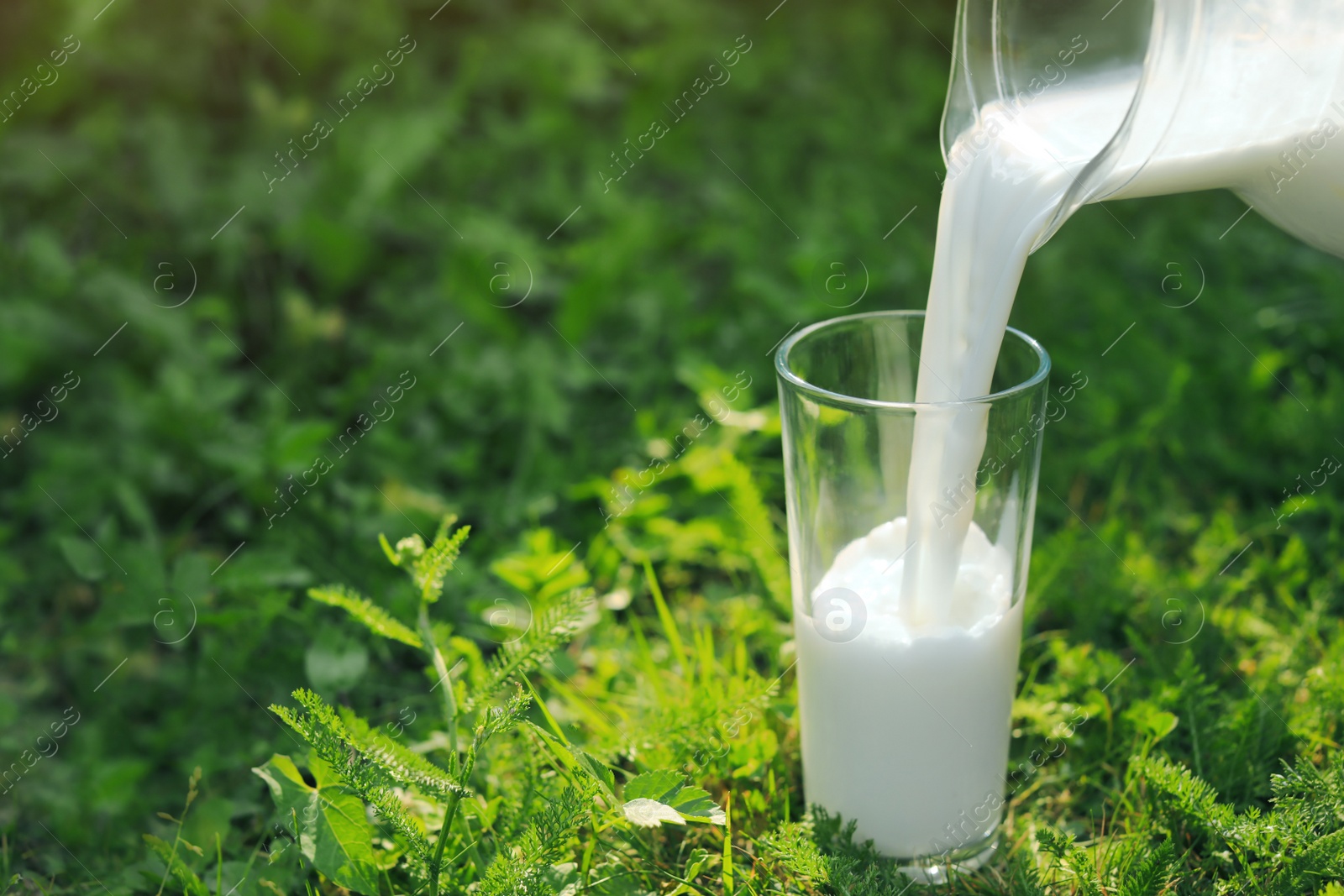 Photo of Pouring tasty fresh milk from jug into glass on green grass outdoors, closeup. Space for text