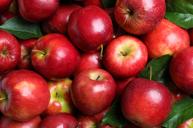 Pile of tasty red apples with leaves as background, top view