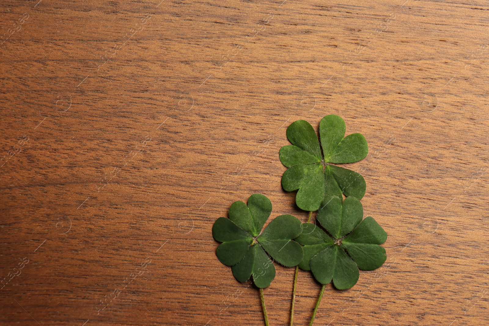 Photo of Green clover leaves on wooden background, flat lay. Space for text