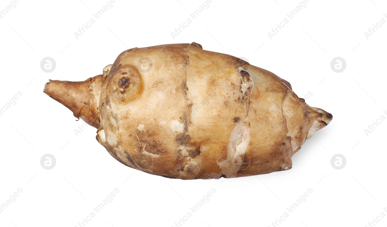 Photo of One raw Jerusalem artichoke isolated on white