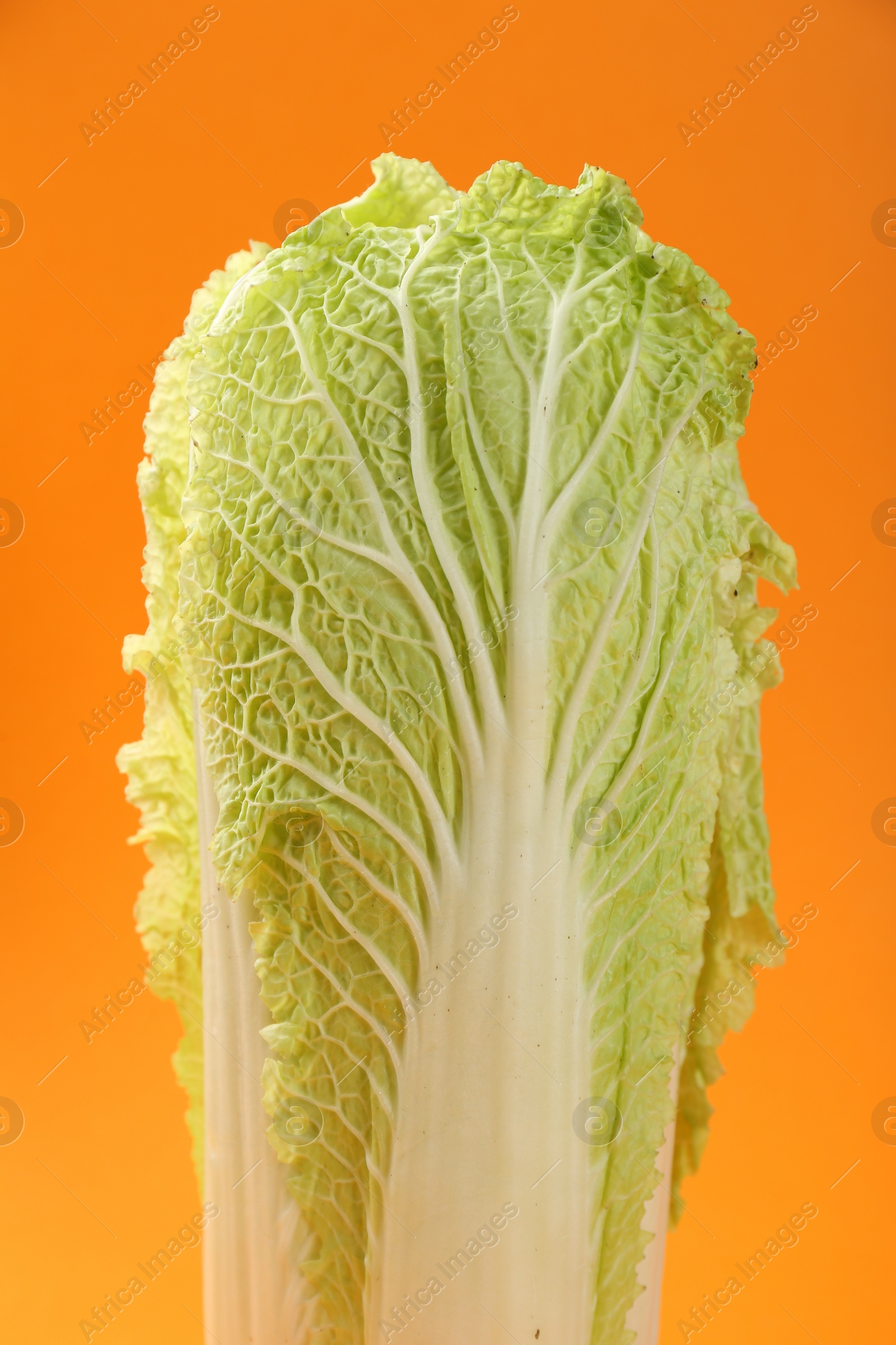 Photo of Fresh ripe Chinese cabbage on orange background