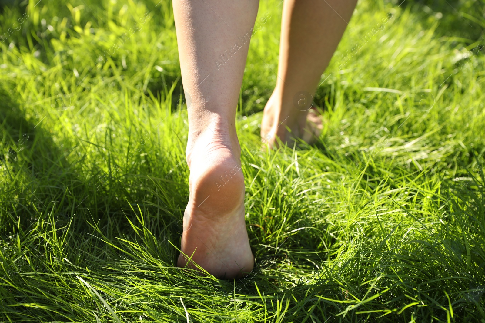 Photo of Woman walking barefoot on green grass outdoors, closeup