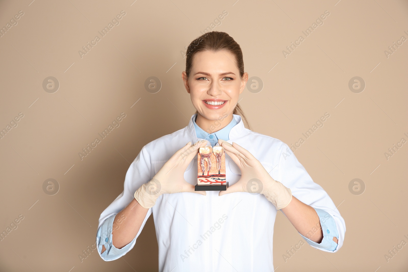 Photo of Female dentist holding teeth model on color background