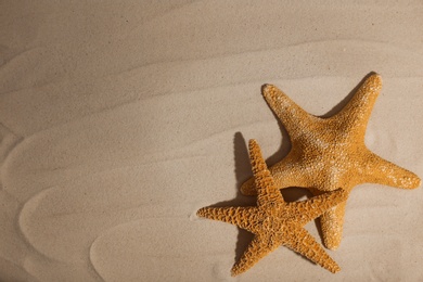 Photo of Starfishes on beach sand, top view. Space for text