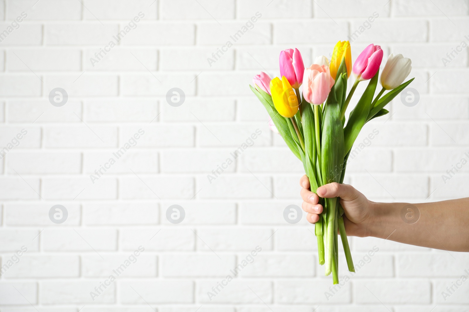 Photo of Man holding bouquet of beautiful spring tulips near brick wall, closeup with space for text. International Women's Day