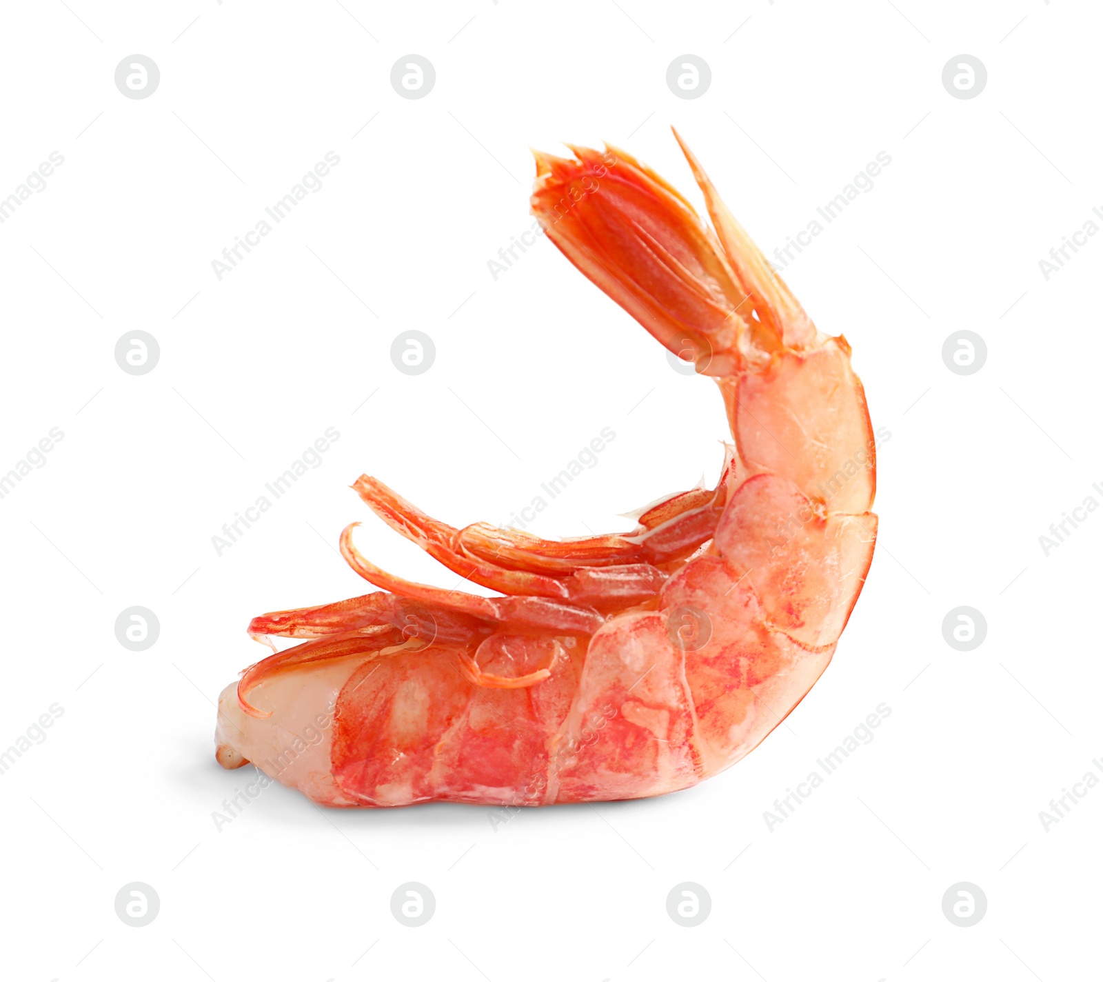 Photo of Fresh shrimp on white background