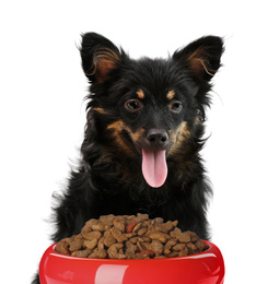 Image of Cute long hair dog and feeding bowl on white background