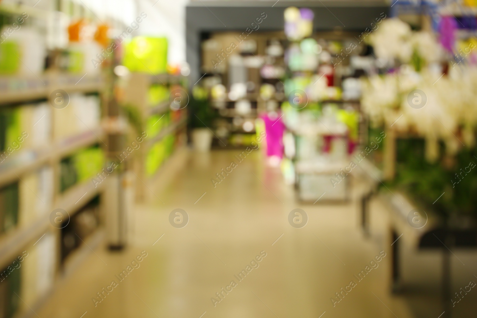 Photo of Blurred view of shop with tropical flowers and various merchandise