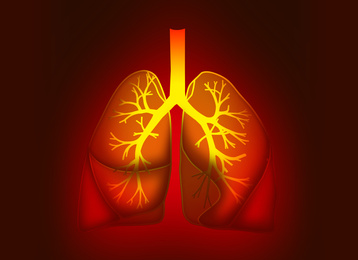 Illustration of  human lungs affected with disease on red background