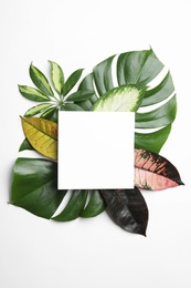 Photo of Beautiful composition with tropical leaves and blank card on white background, top view