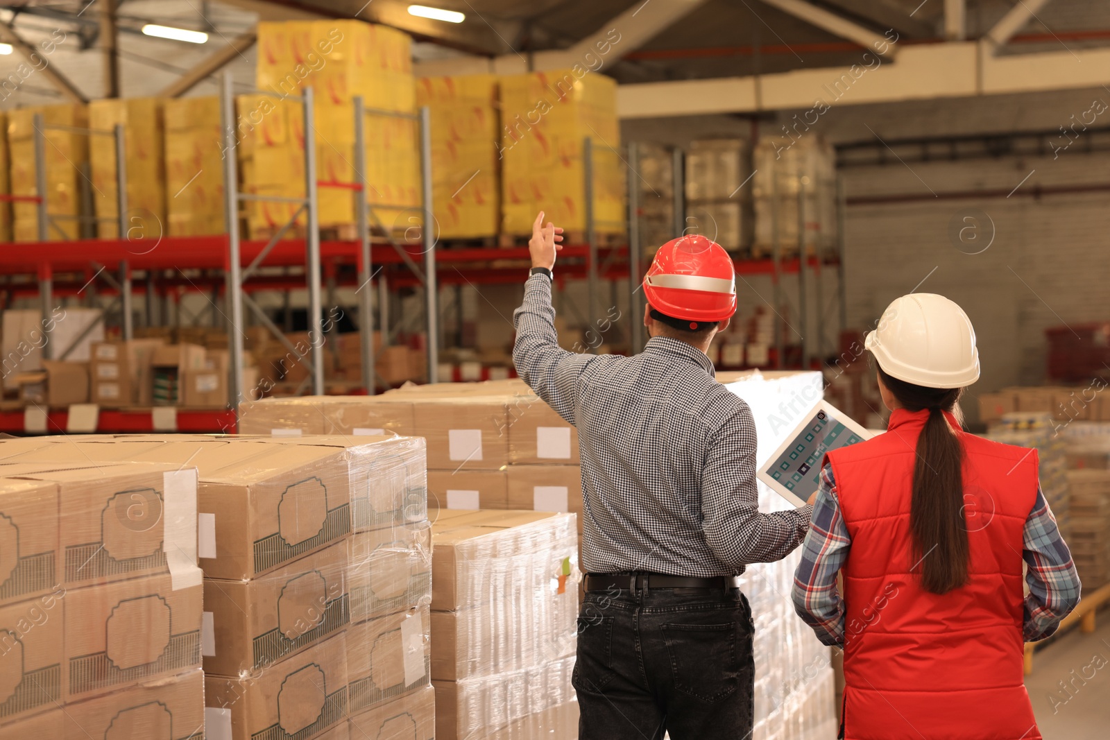 Image of Manager and supervisor at warehouse, back view. Logistics center