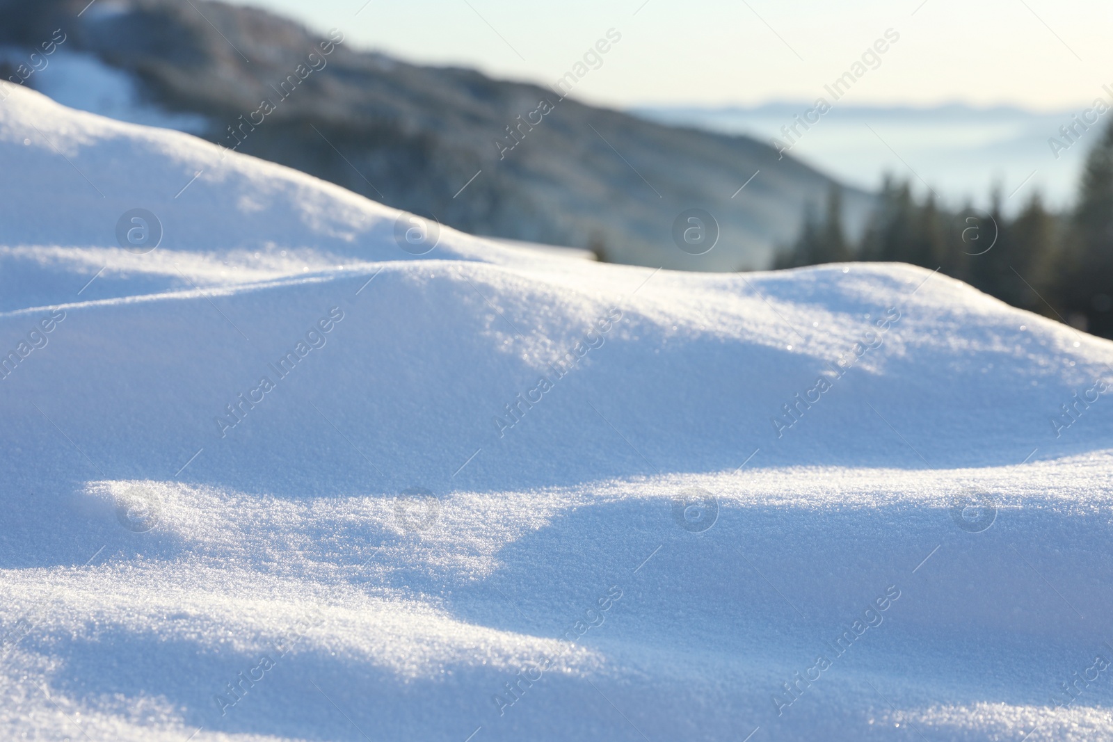 Photo of Beautiful snowdrift outdoors, closeup view. Winter weather