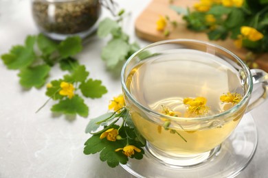 Photo of Glass cup of aromatic celandine tea and flowers on grey table, closeup. Space for text