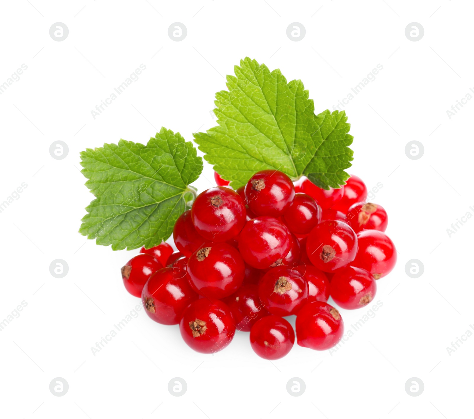 Photo of Pile of fresh ripe redcurrants and green leaves isolated on white