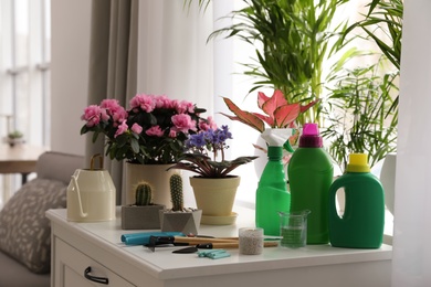 Photo of Beautiful house plants, tools and fertilizers on cabinet indoors