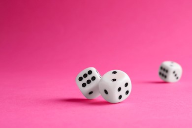 Photo of Many white game dices falling on pink background. Space for text
