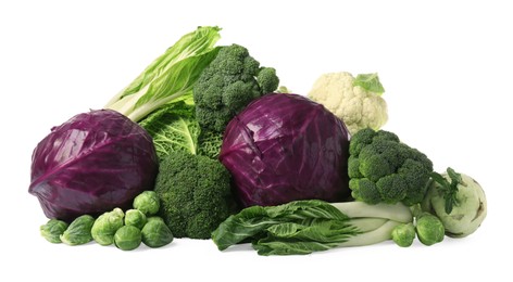 Photo of Many different fresh ripe cabbages on white background