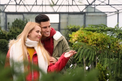 Photo of Couple choosing Christmas tree at market outdoors