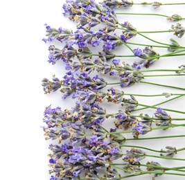 Photo of Beautiful blooming lavender flowers on white background