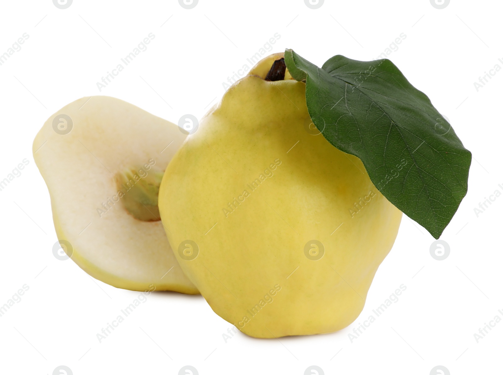 Photo of Whole and cut delicious quinces on white background