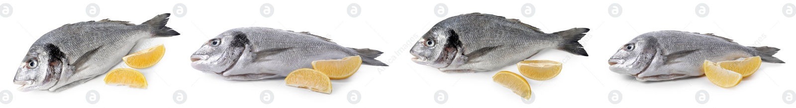 Image of Raw dorada fish and lemon isolated on white, set