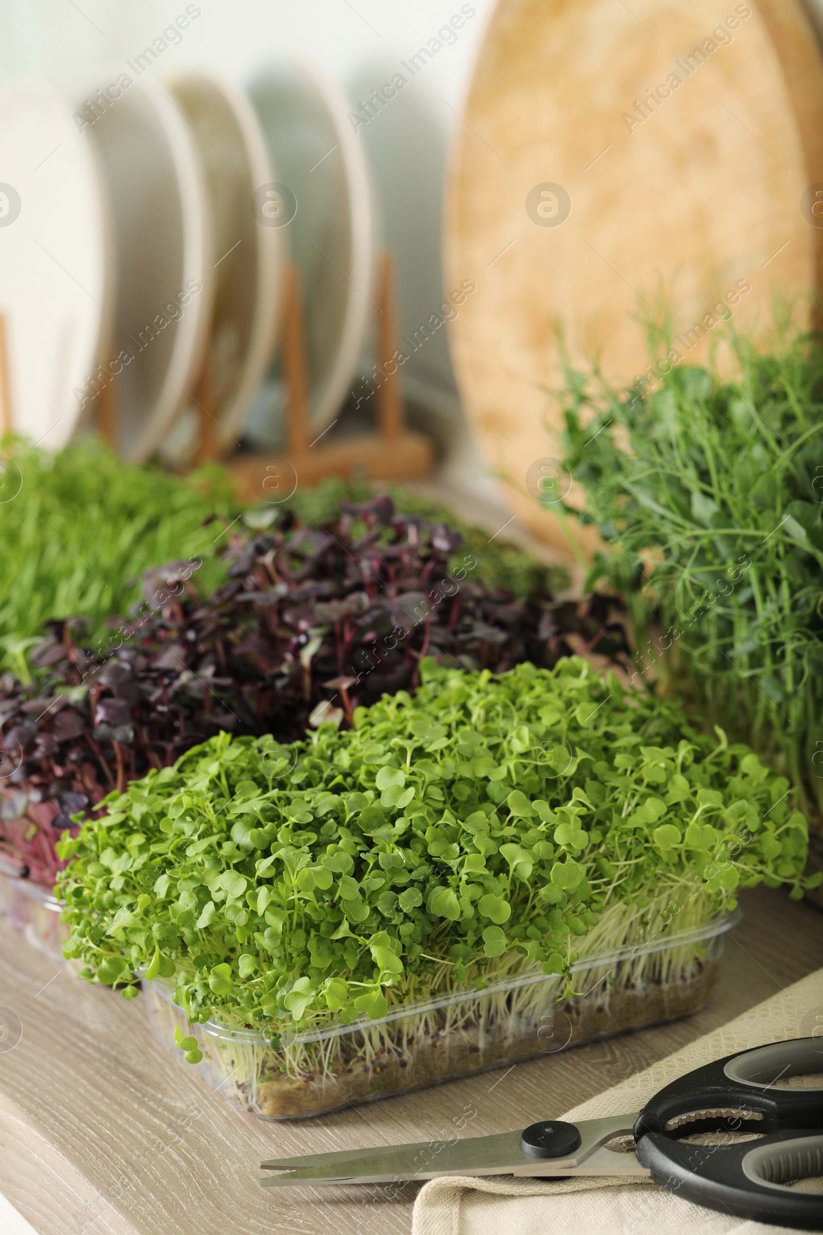 Photo of Different fresh microgreens in plastic containers and scissors on countertop in kitchen