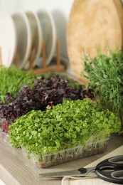 Different fresh microgreens in plastic containers and scissors on countertop in kitchen