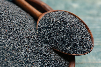Photo of Poppy seeds in bowl and spoon on blue table, closeup