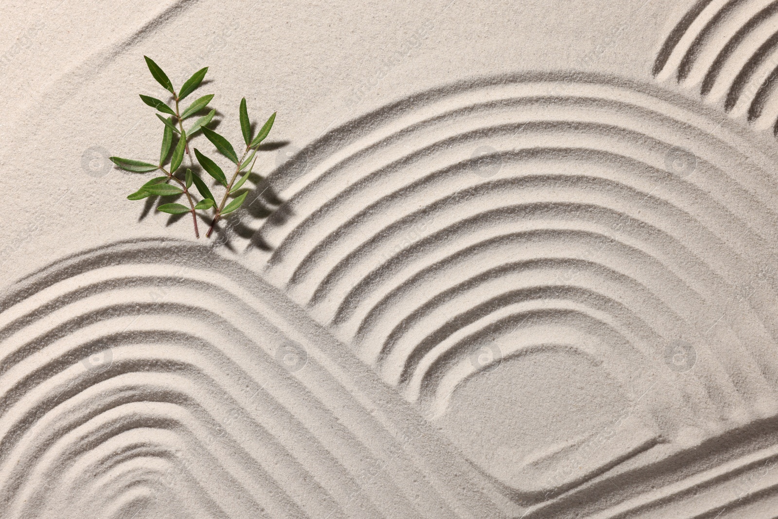 Photo of Beautiful patterns and branches on sand, top view. Zen garden