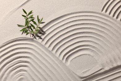 Photo of Beautiful patterns and branches on sand, top view. Zen garden
