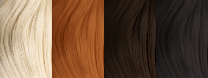 Collage of color hair samples, closeup. Banner design