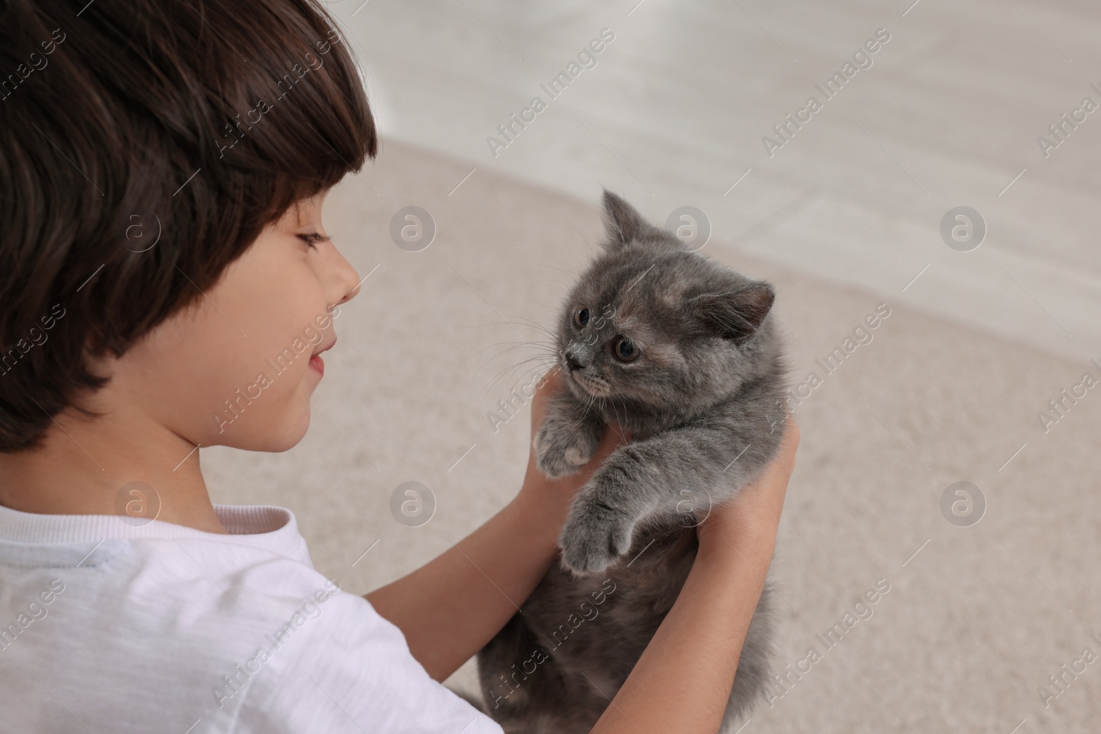 Photo of Cute little boy with kitten at home. Childhood pet