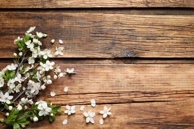 Photo of Blossoming spring tree branches as border on wooden background, flat lay. Space for text