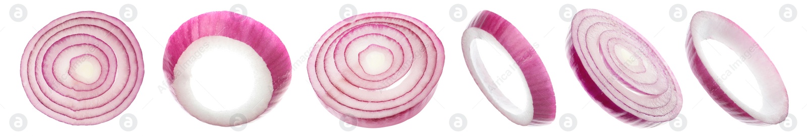 Image of Onion slices on white background, banner design 