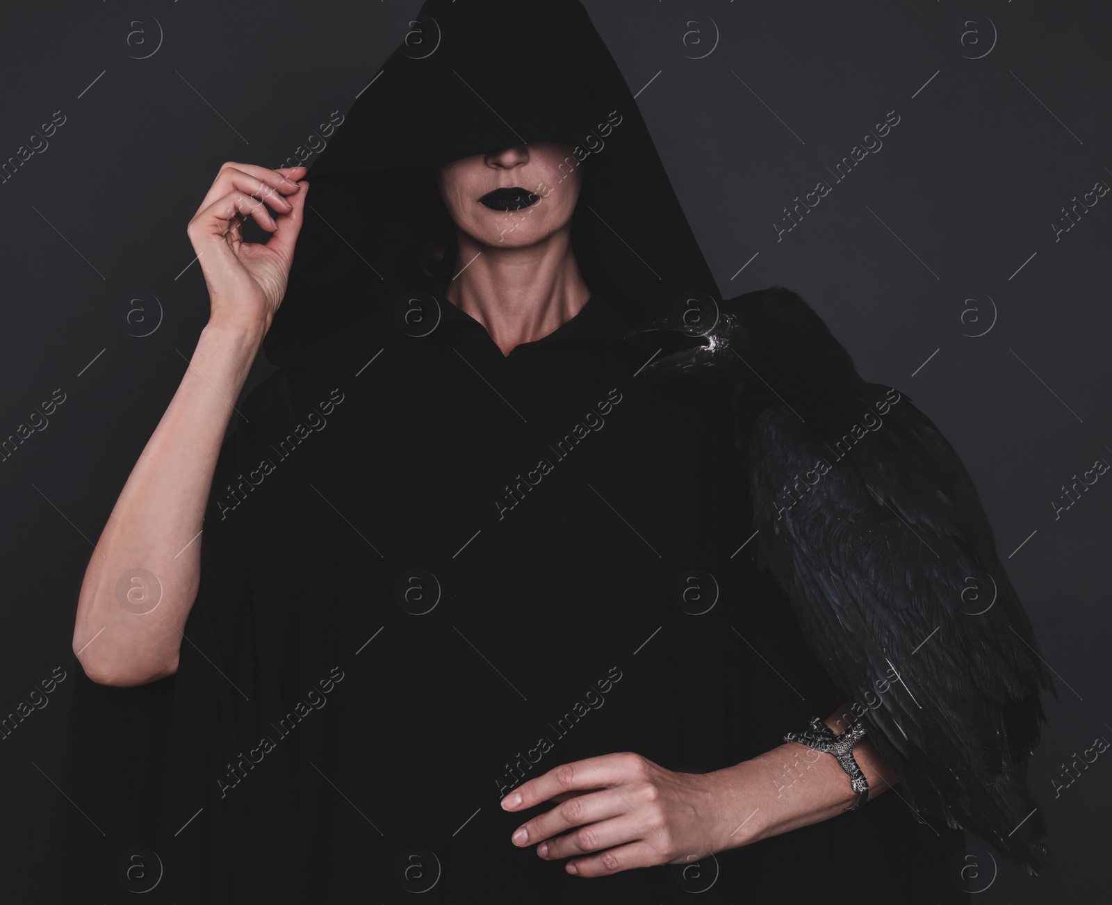 Photo of Mysterious witch with raven on black background