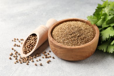 Coriander powder in bowl, seeds and green leaves on light grey table