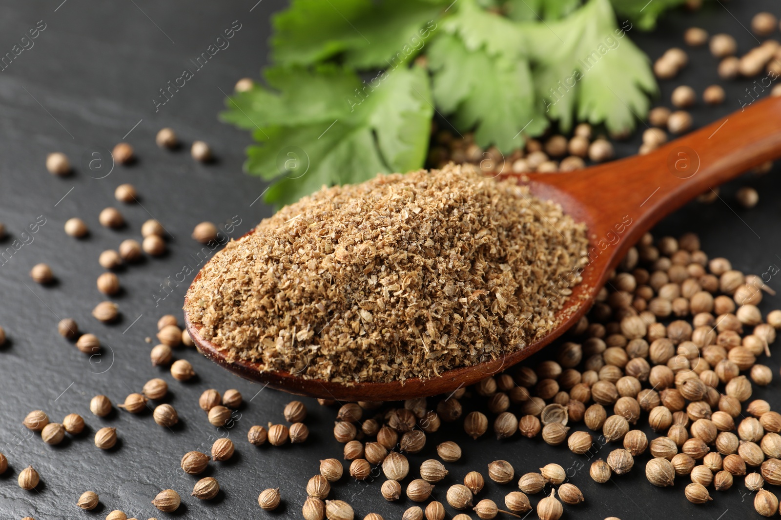 Photo of Coriander powder in spoon, seeds and green leaves on black table, closeup