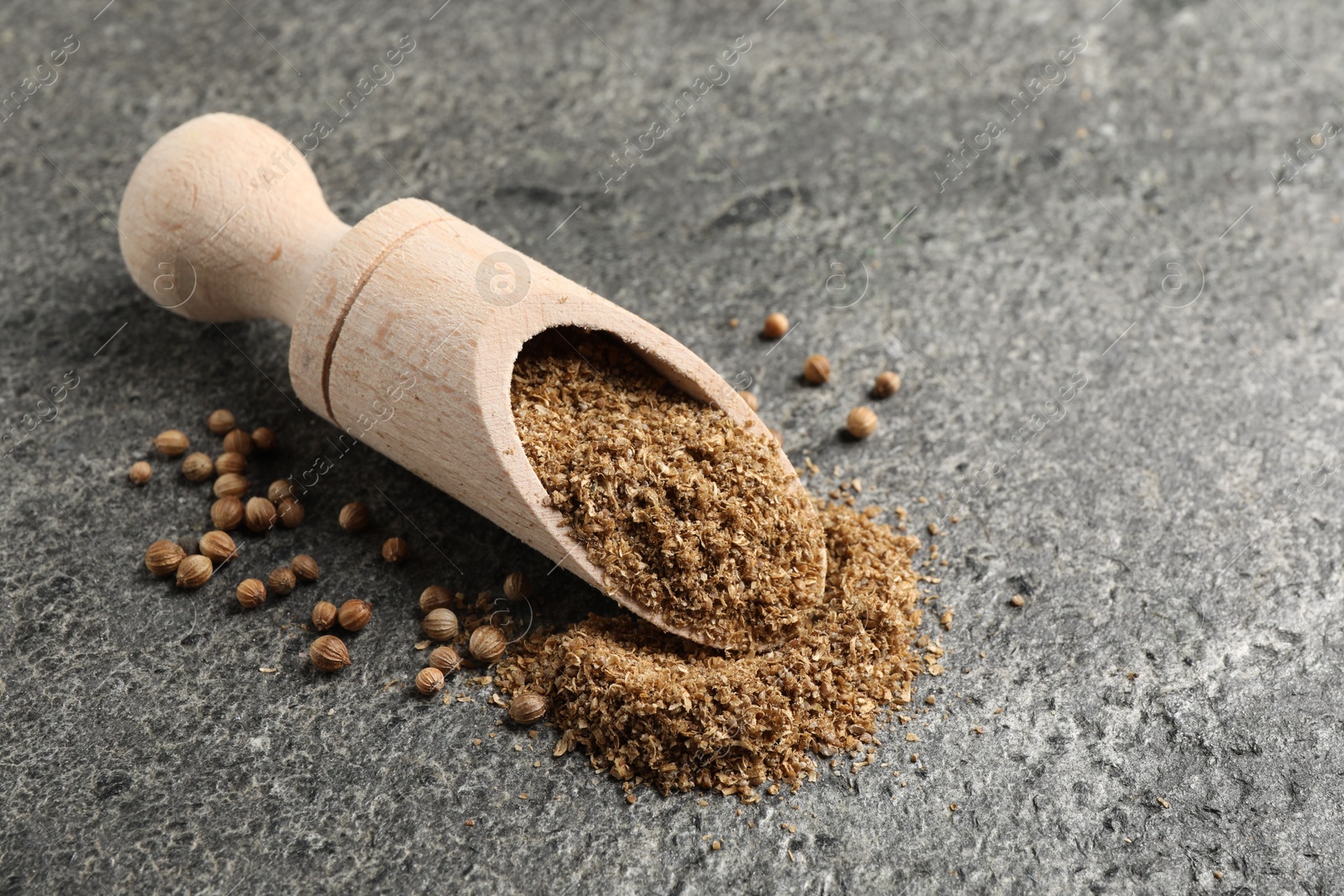 Photo of Coriander powder in scoop and seeds on grey table, space for text