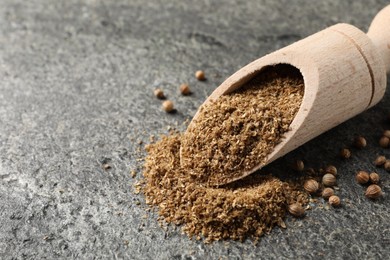 Photo of Coriander powder in scoop and seeds on grey table, space for text