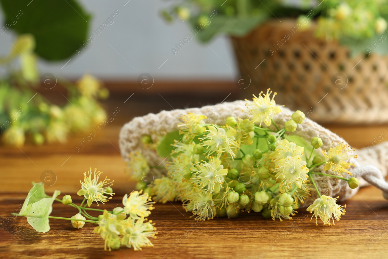 Photo of Fresh linden leaves and flowers on wooden table, closeup