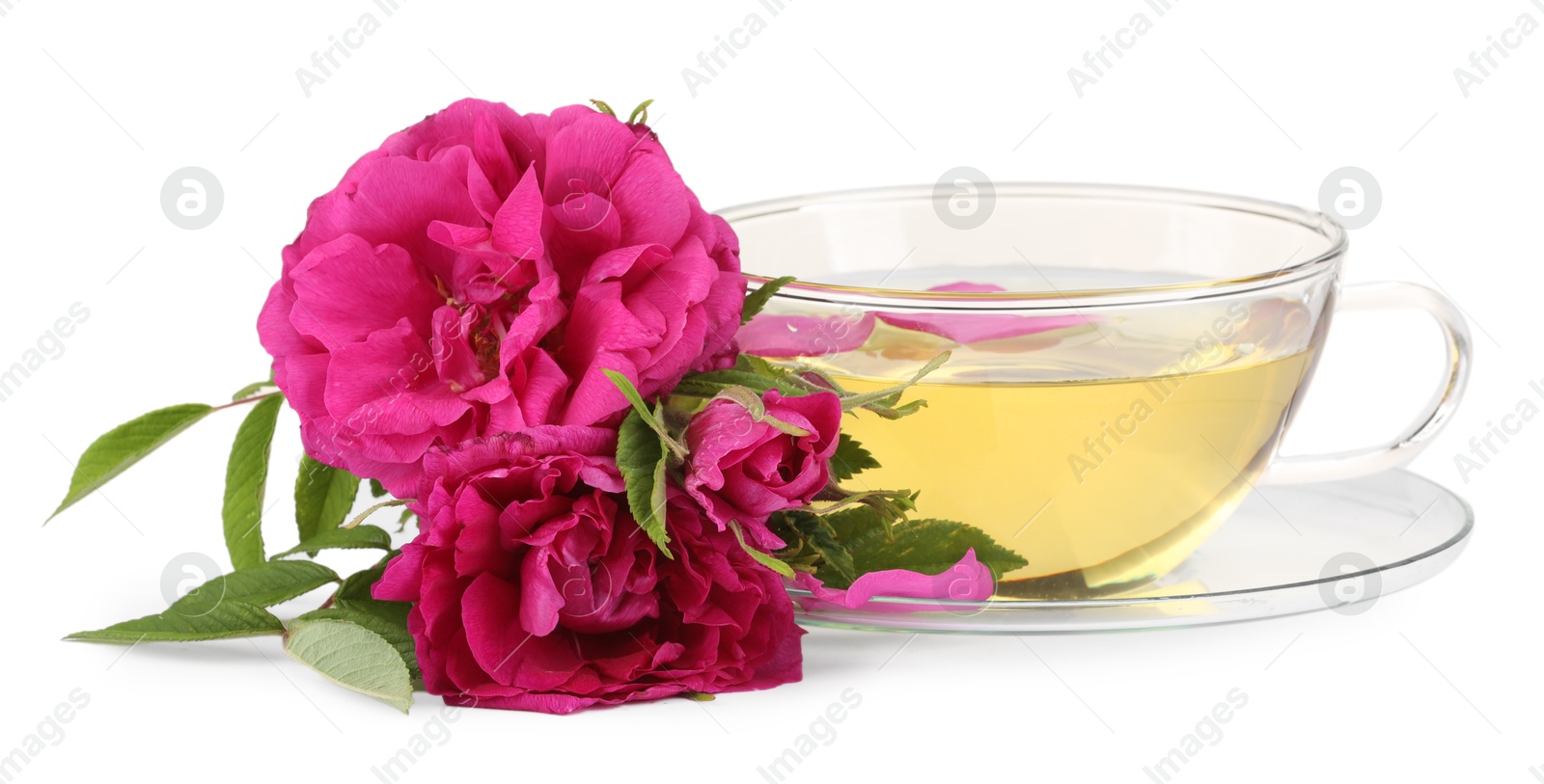 Photo of Aromatic herbal tea in glass cup, peonies and green leaves isolated on white