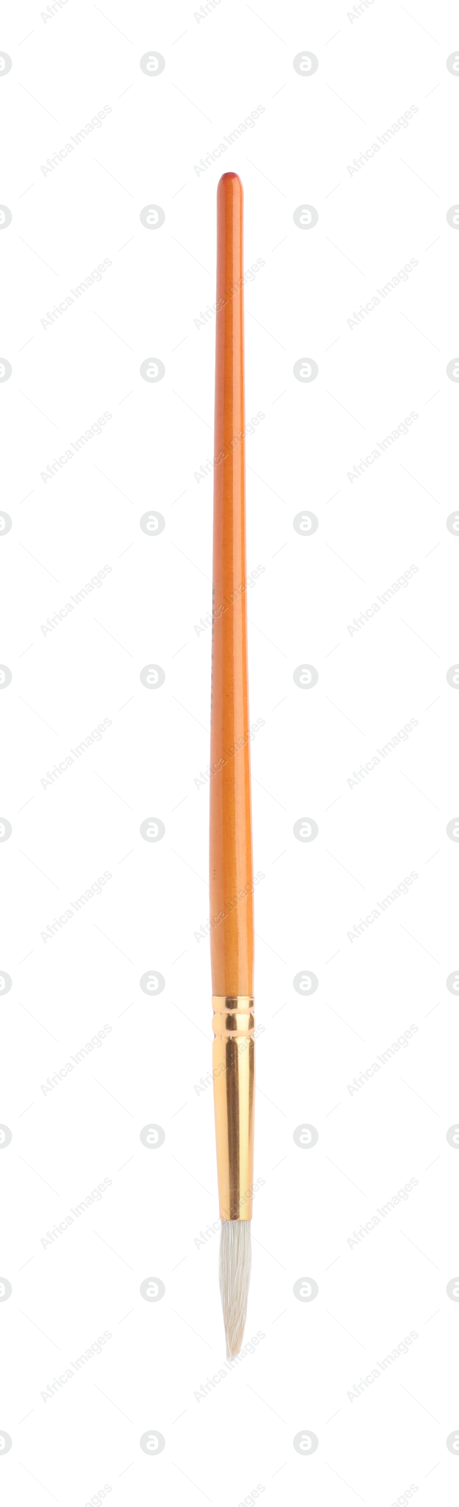 Photo of Paint brush with wooden handle isolated on white